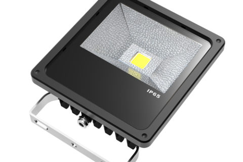 10W Flood light