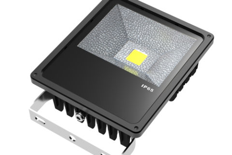 50W Flood light