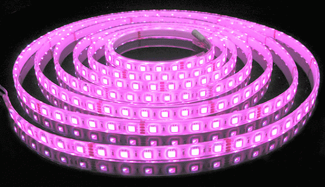  Waterproof 5050 Led Strip Light