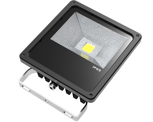 10W Flood light