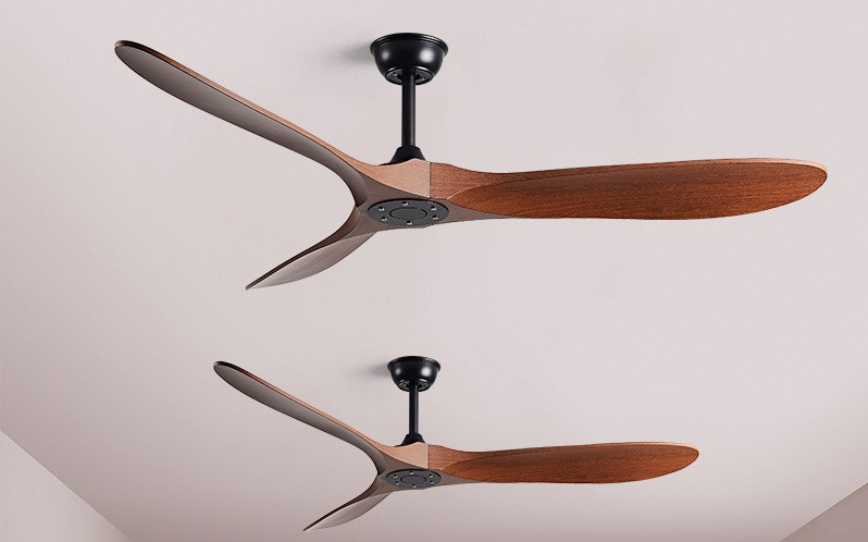 Ceiling Fans without light