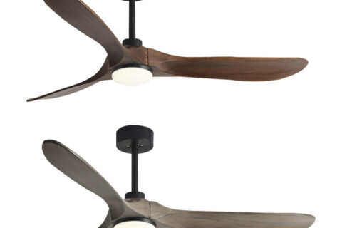 Ceiling Fans